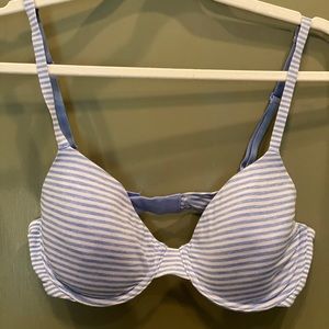 Gap Love Blue and White Striped t shirt Bra size 34C